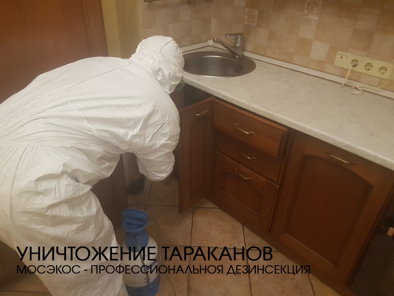 Служба по уничтожению тараканов в Дмитрове