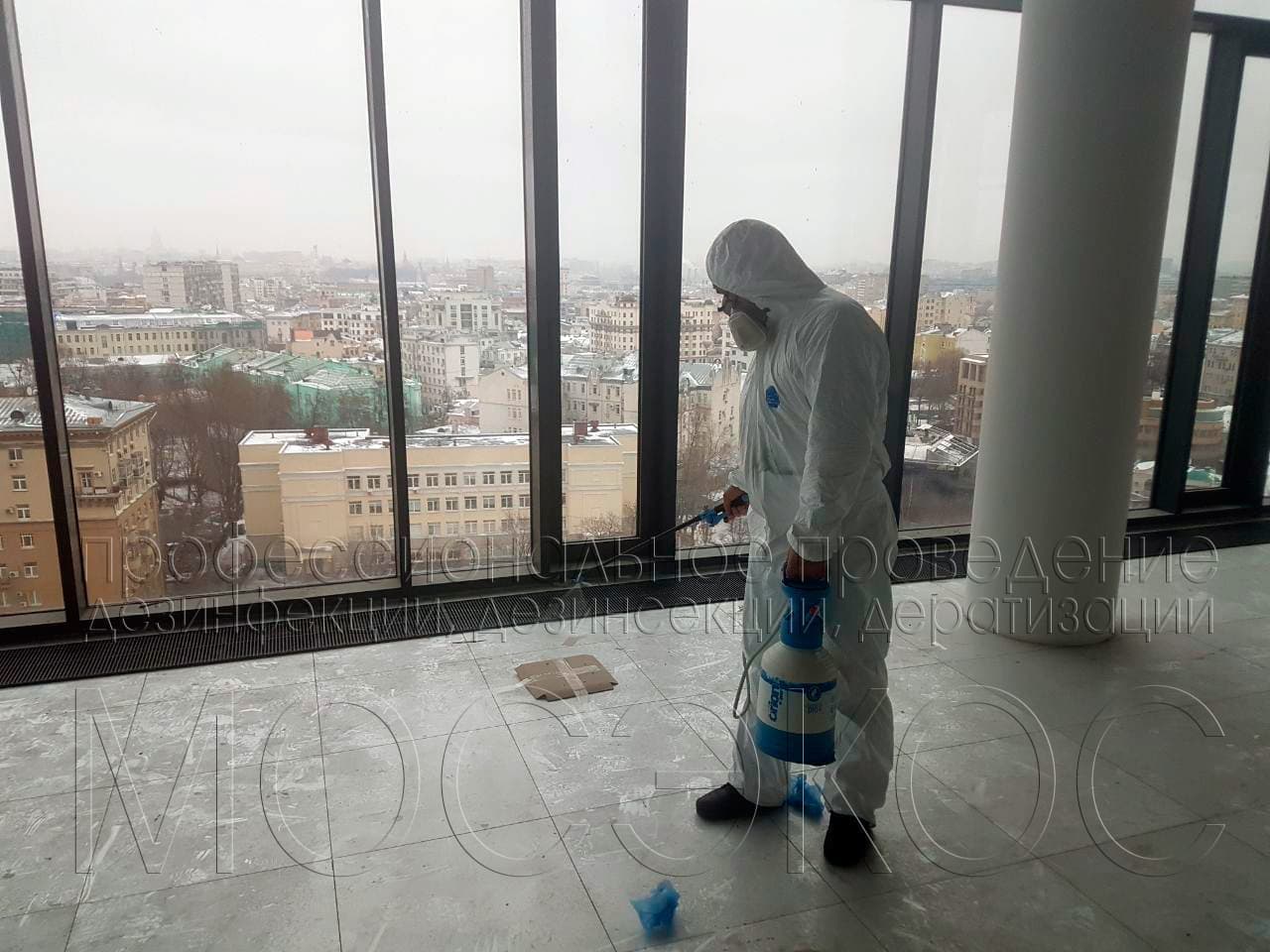 Уничтожение клопов в офисе  в Дмитрове
