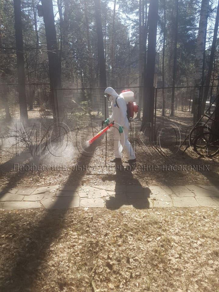 Уничтожение клещей на участке в Дмитрове