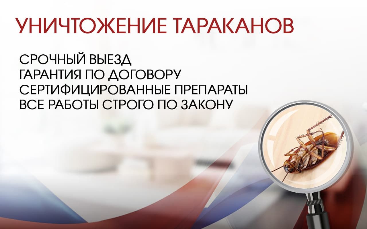 Уничтожение тараканов в коттедже  в Дмитрове