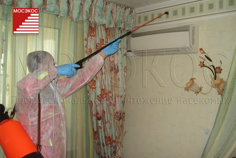 Уничтожение тараканов в квартире специализированной службой